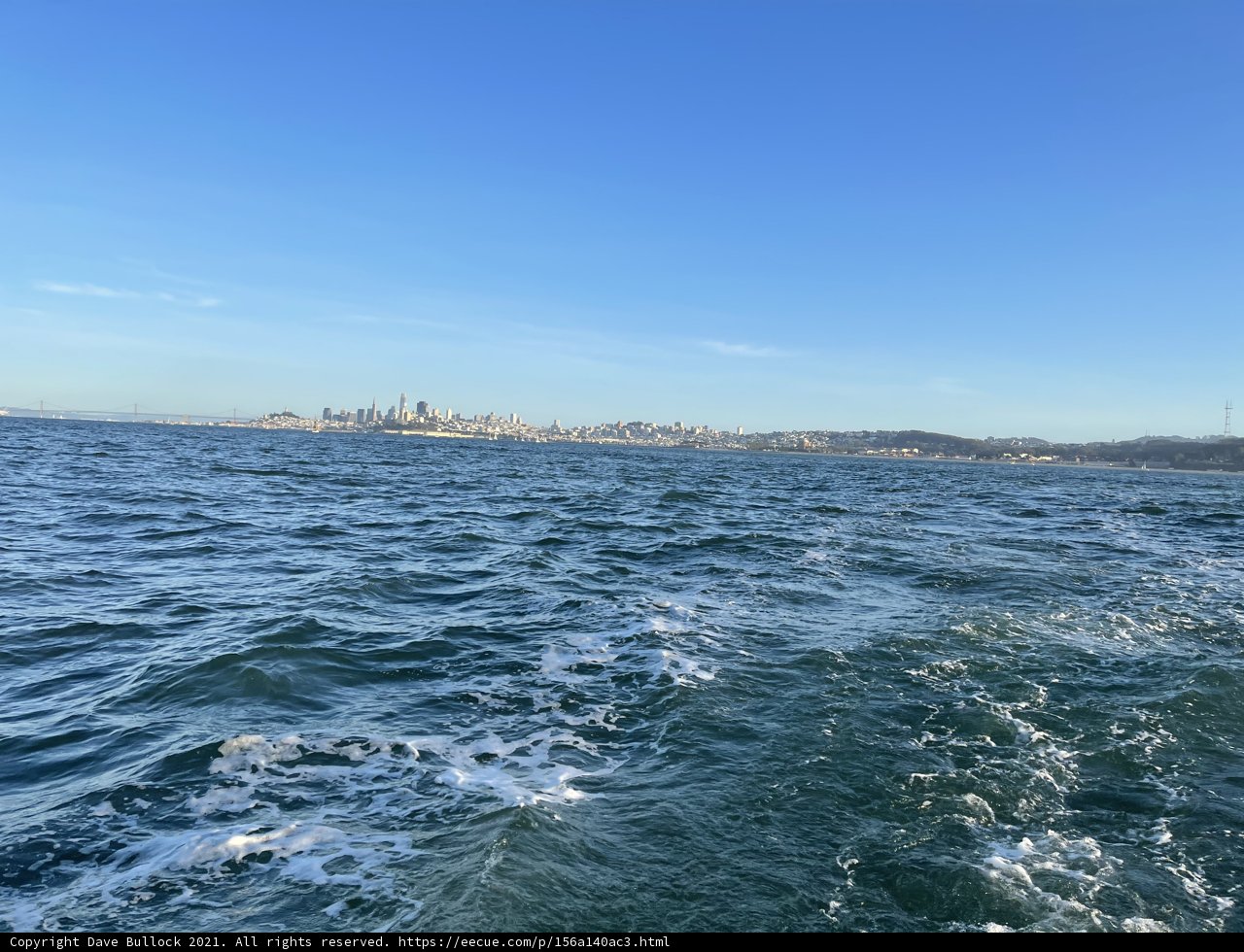 Serene Views of San Francisco Bay
