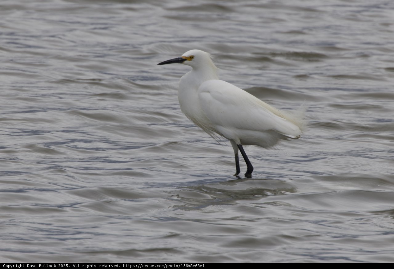 Graceful Reflection