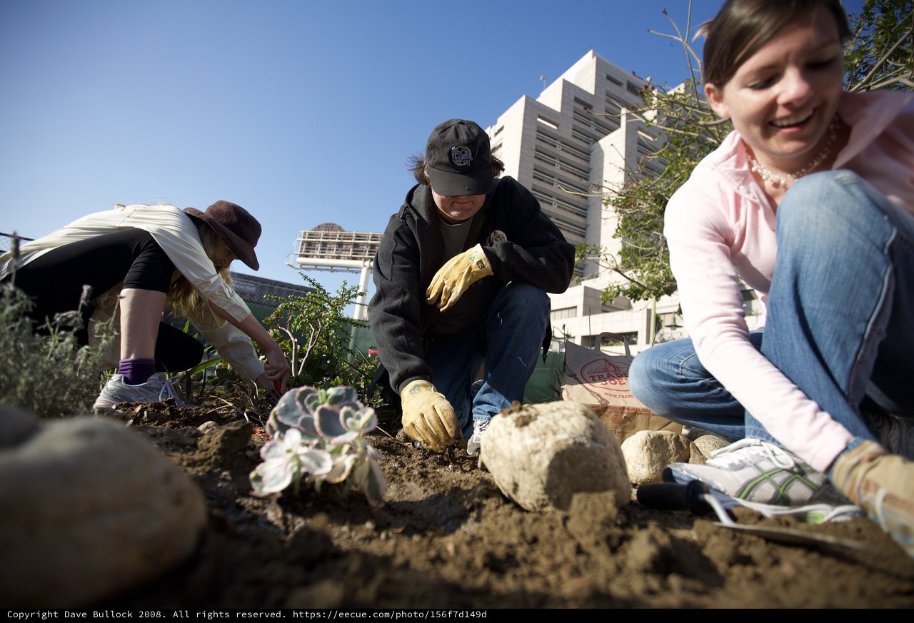 Urban Guerrilla Gardeners Plant New Life Downtown