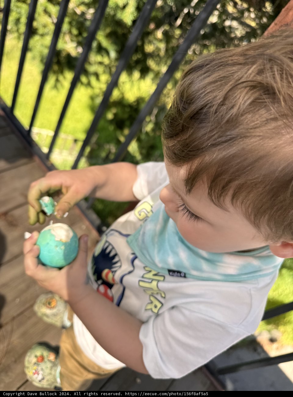 Colors of Innocence: Joy in Simple Pleasures