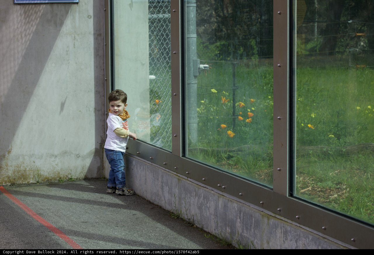 Urban Exploration: A Day at the SF Zoo