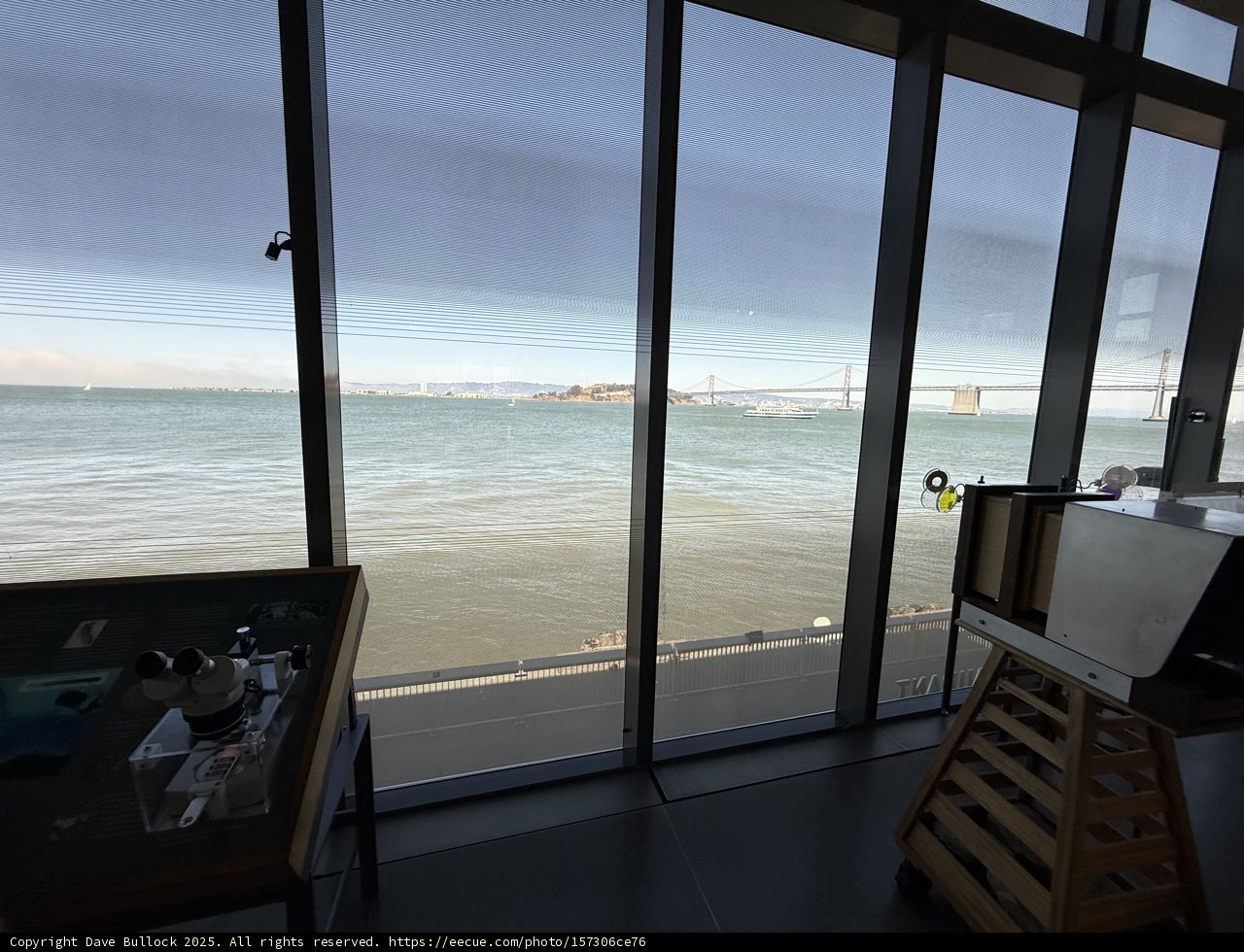 Serene Perspectives
