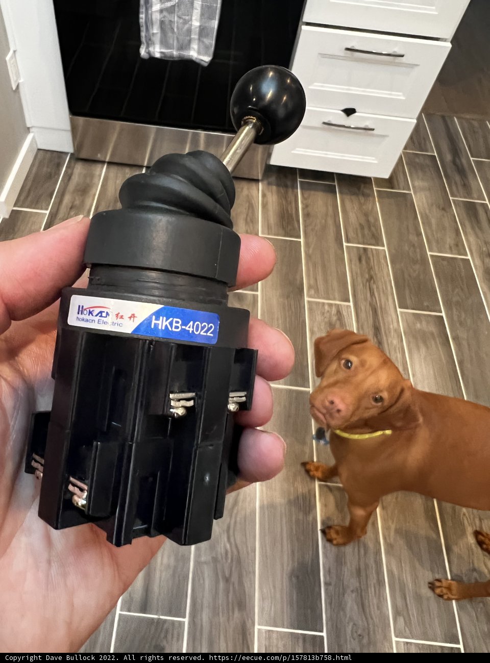 An Interspecies Connection