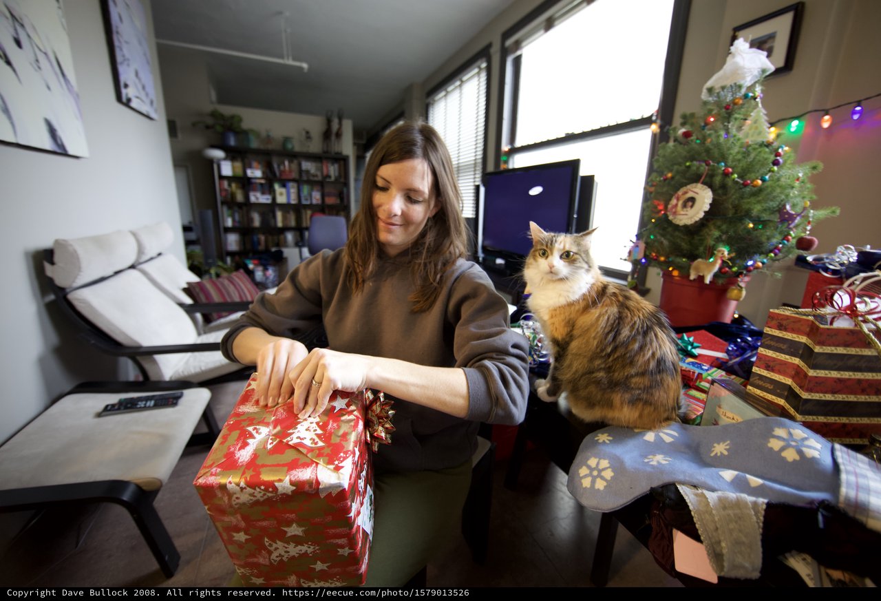 Woman Opening Christmas Gifts With Curious Cat