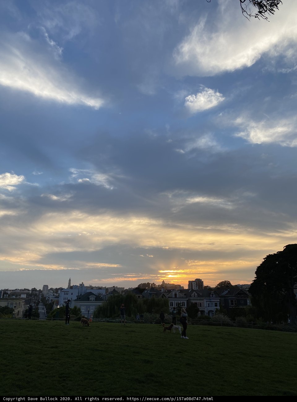 Golden Hour at Alamo Square