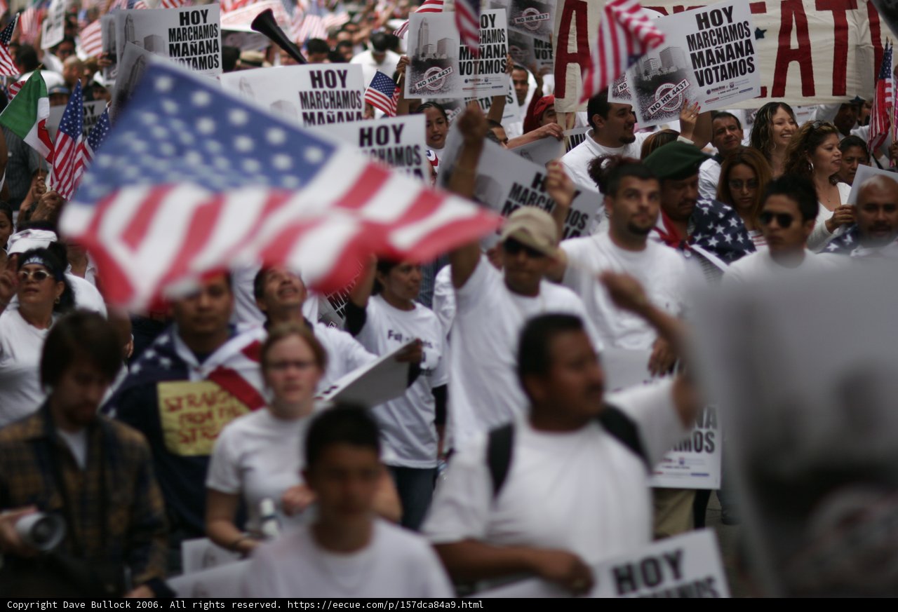 Patriotic Protesters