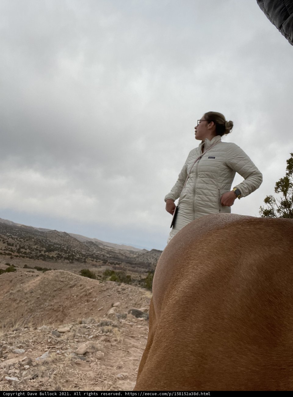 Equestrian Adventure