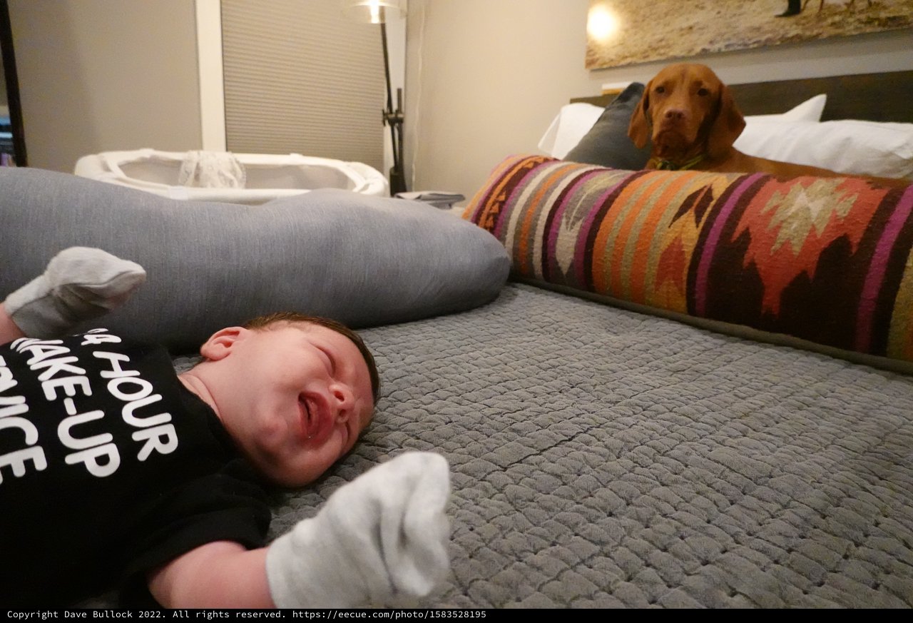Baby and Dog Relaxing on Bed Together