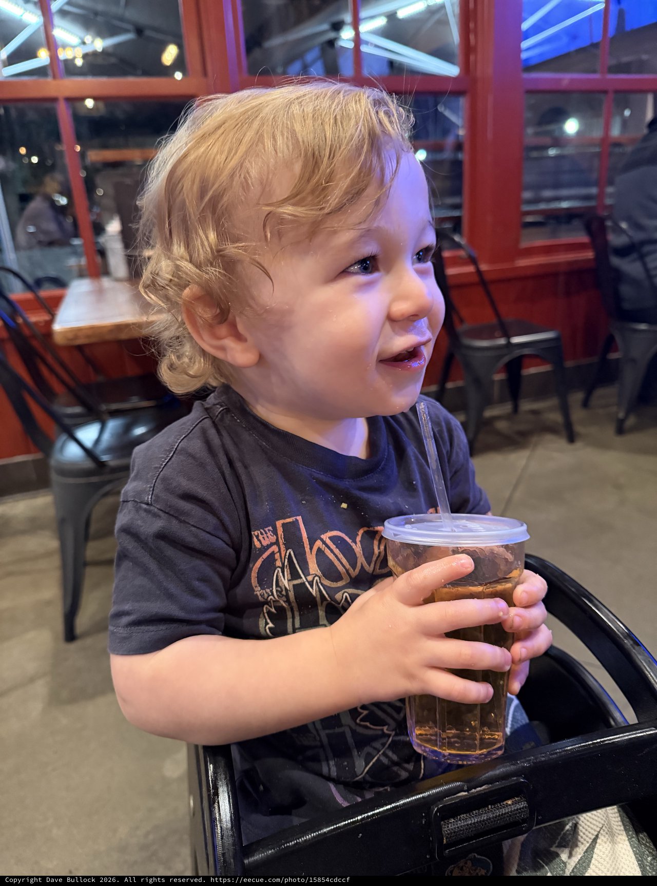 Young Child Enjoying a Drink at Restaurant