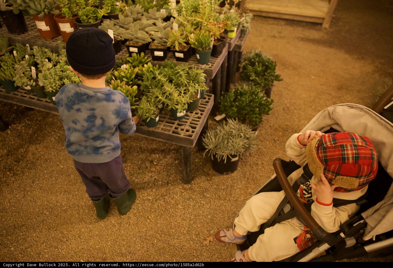 Growing Curiosity