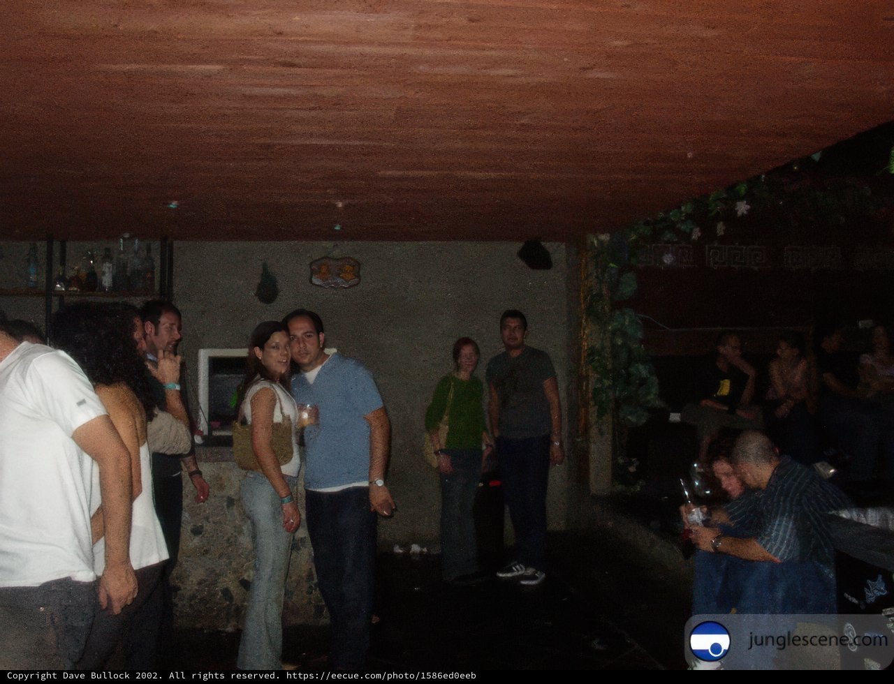 Nightclub Gathering