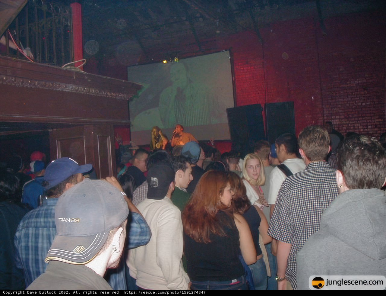 Nightlife Video Watching