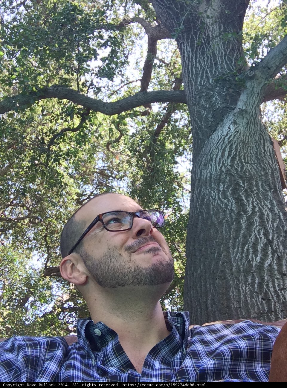 Man and Dog Relaxing in the Grove