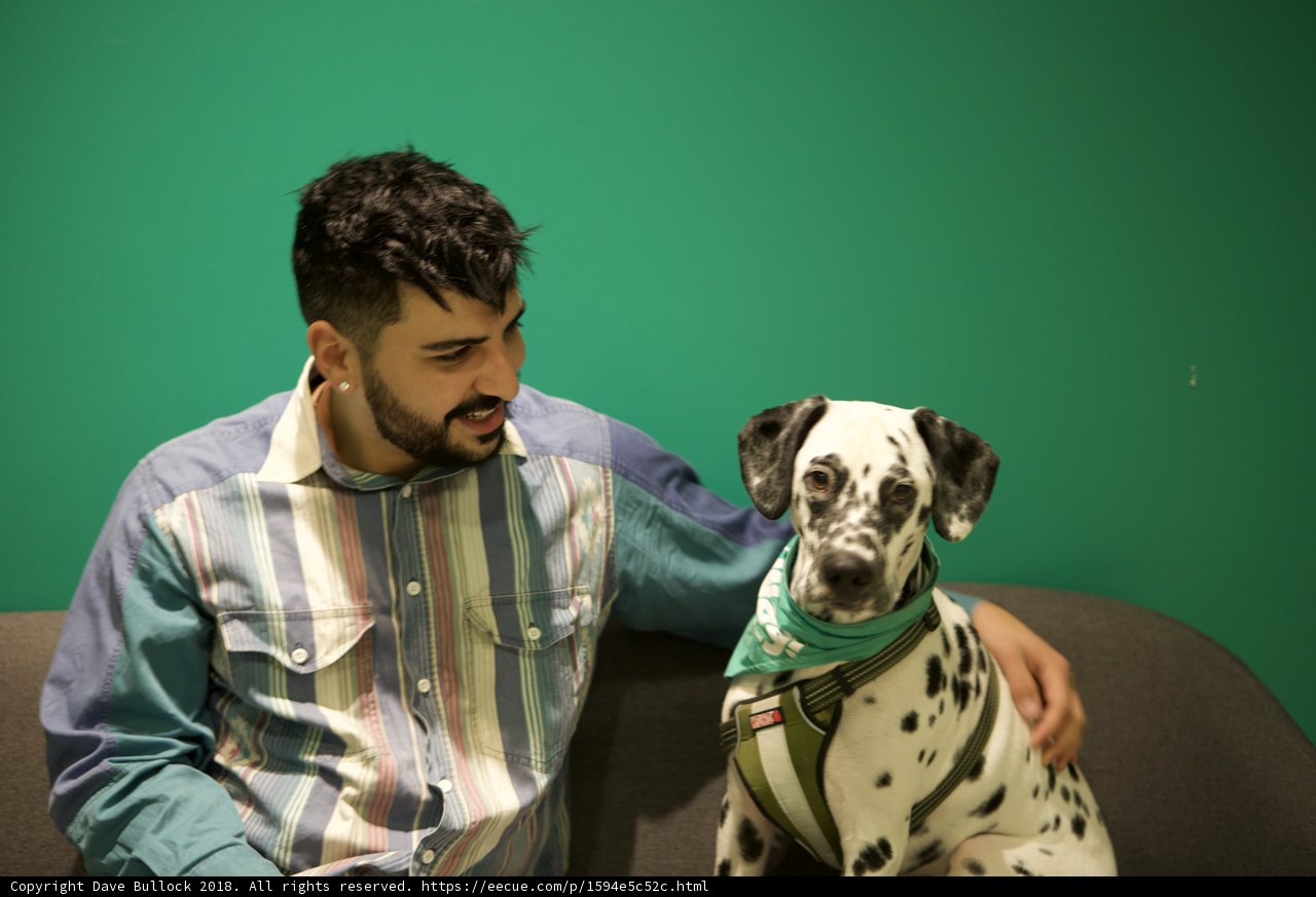 Man's Best Friend