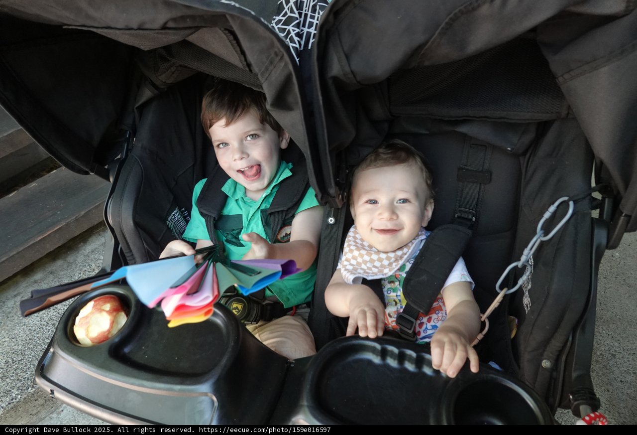 Double Delight in a Stroller