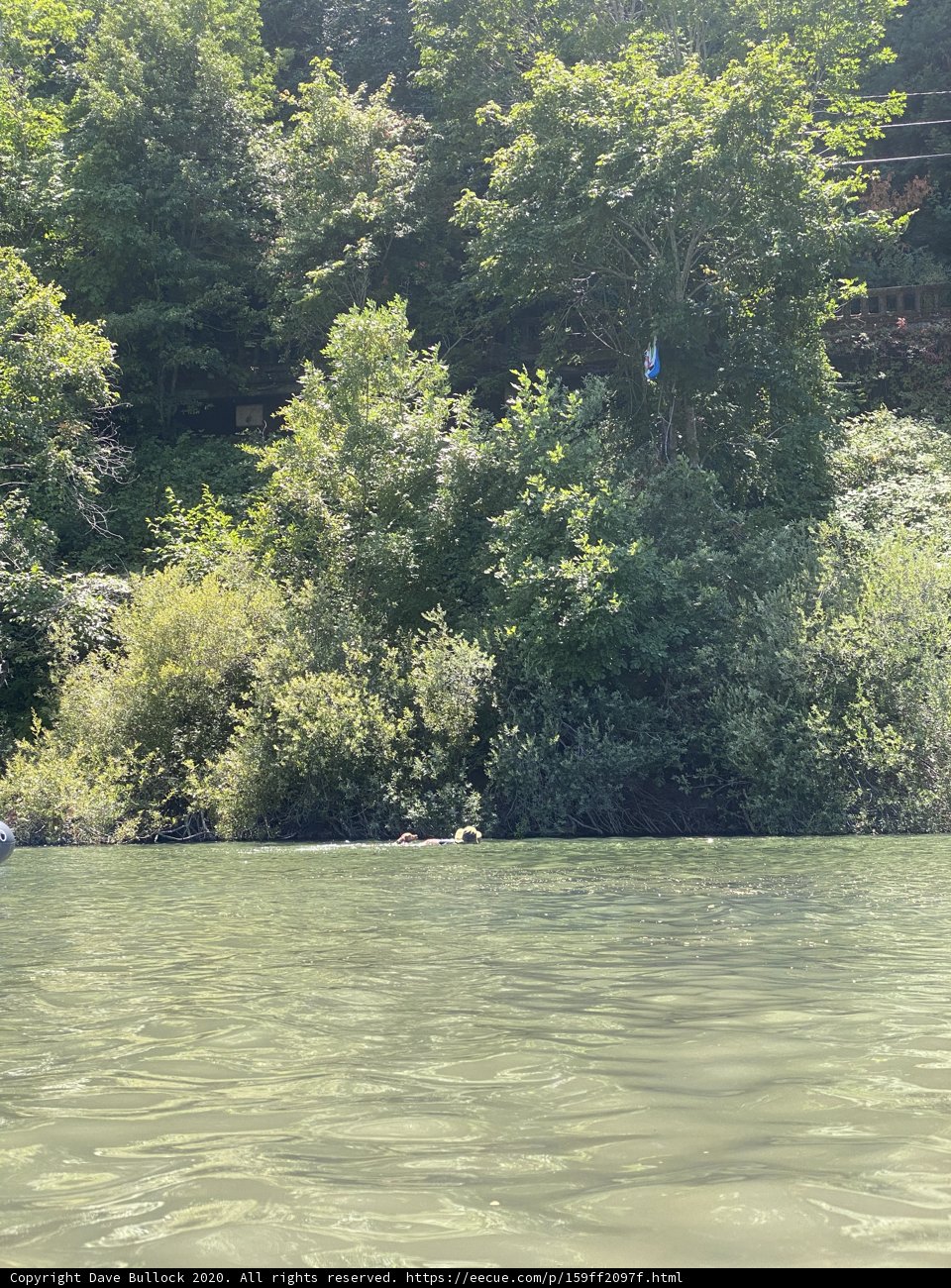 Floating in Nature's Peaceful Embrace