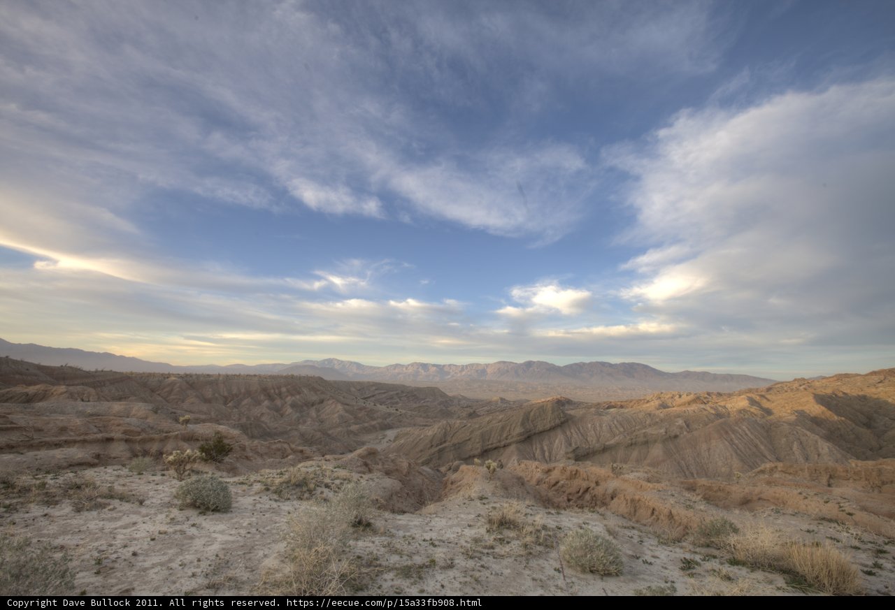 Desert Oasis from Above