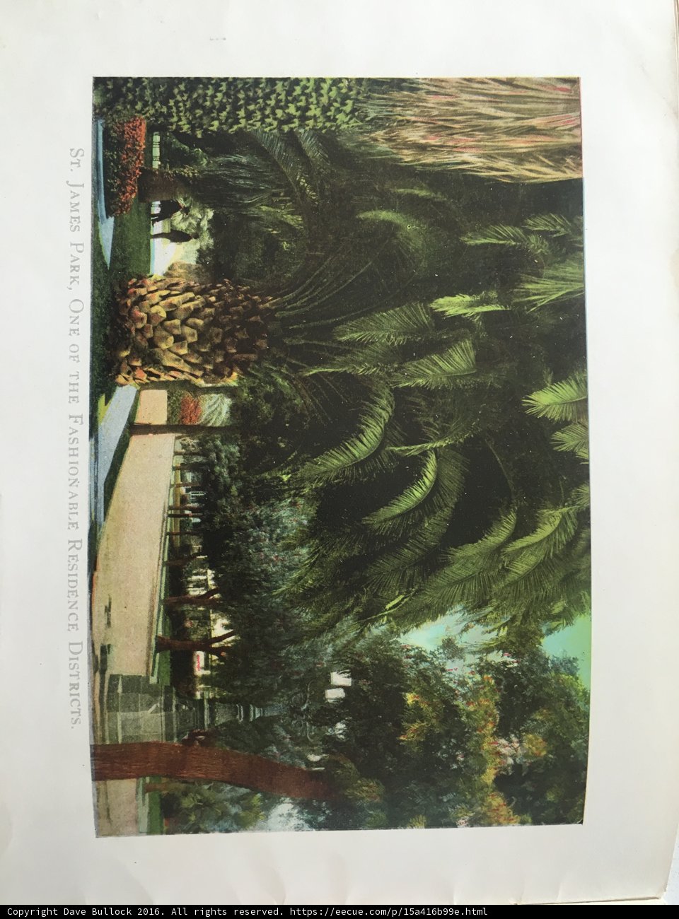 Tropical Oasis in a Book