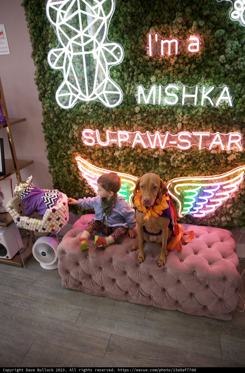 Wesley's Neon Birthday Bash