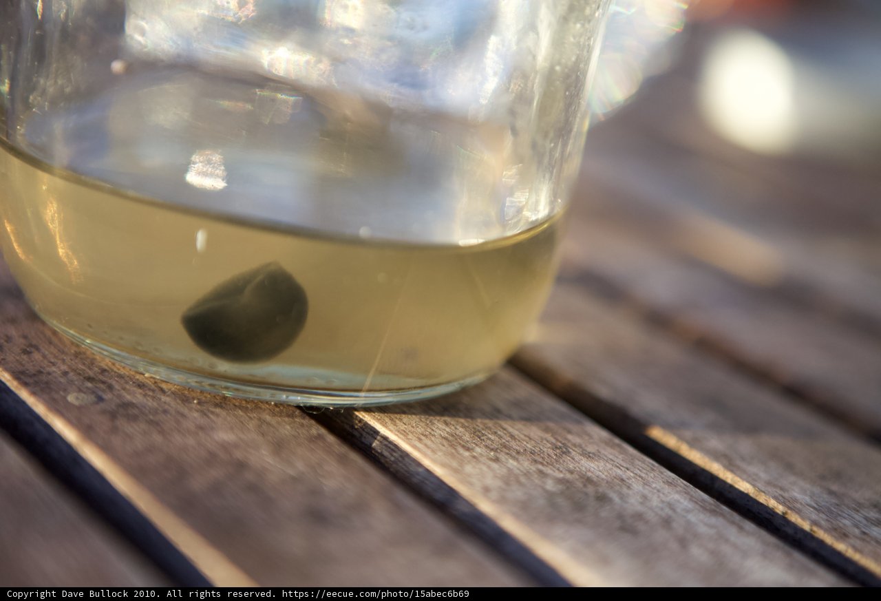 Mysterious Black Object Captured in a Glass Jar