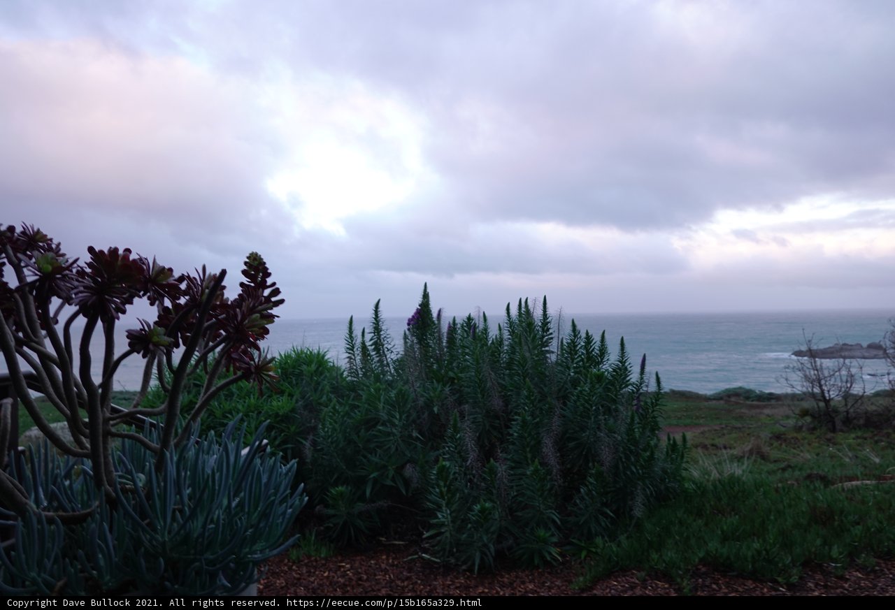 Serene Ocean View