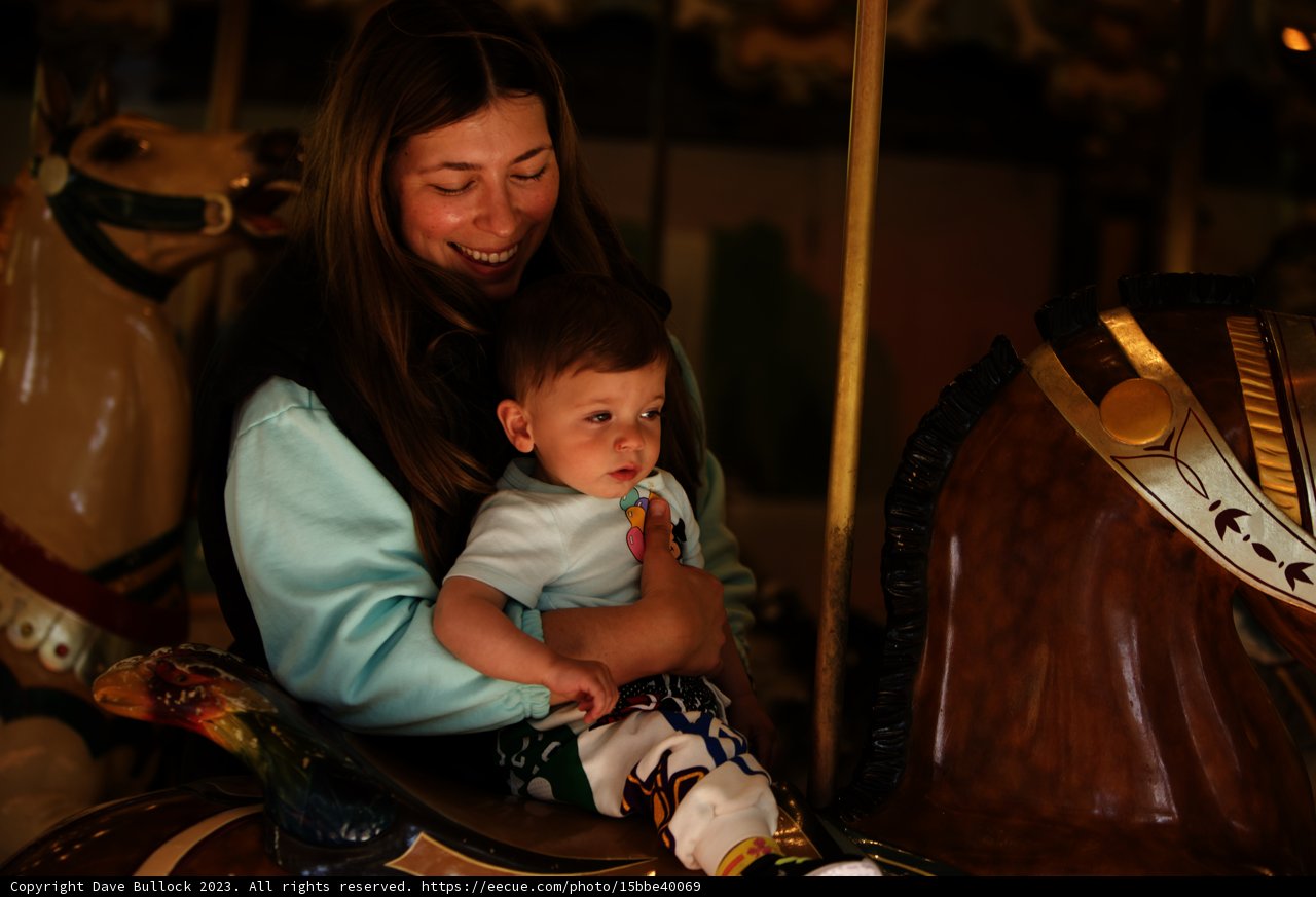 Captivating Carousel Moments - SF Zoo Trip 2023