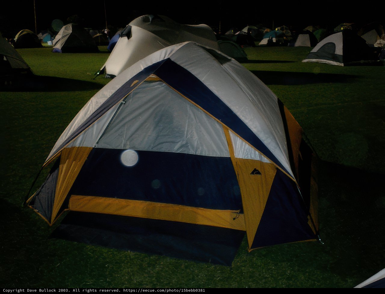 Nighttime Camping on the Grass