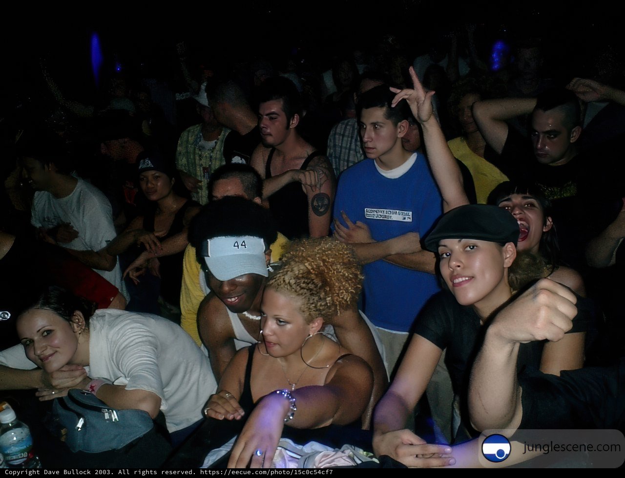 Nightclub Concert Crowd