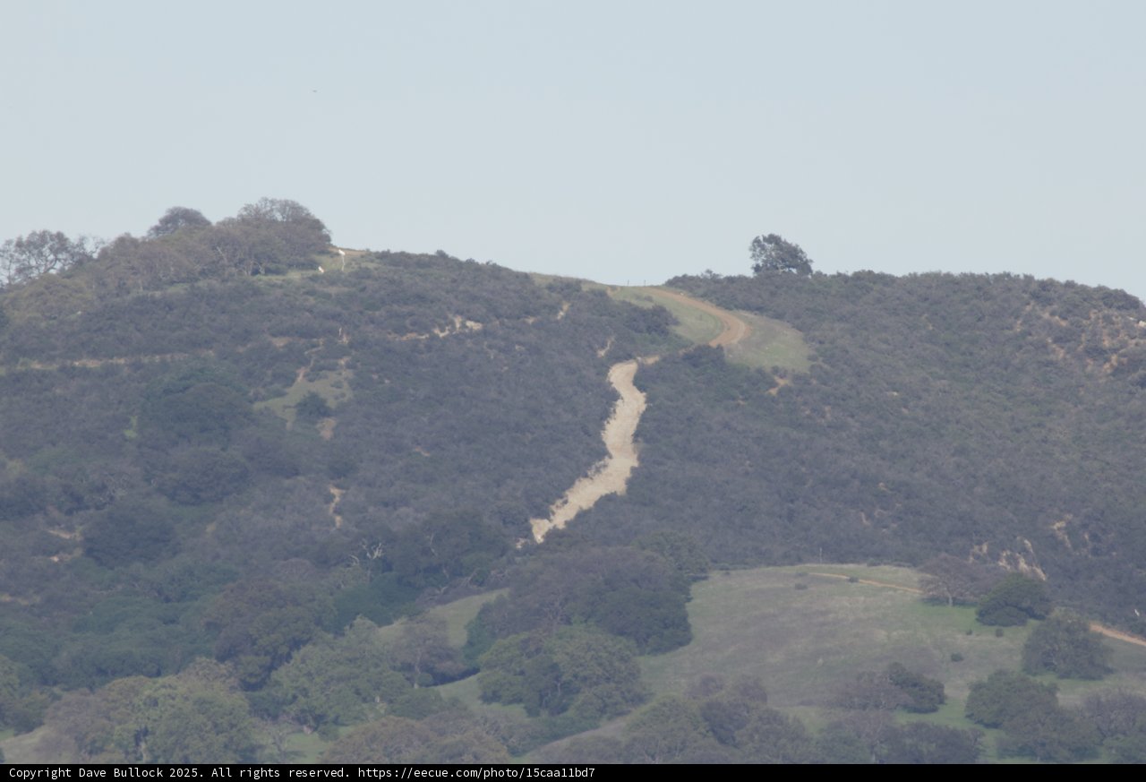 Tranquil Trails: A Countryside Canvas