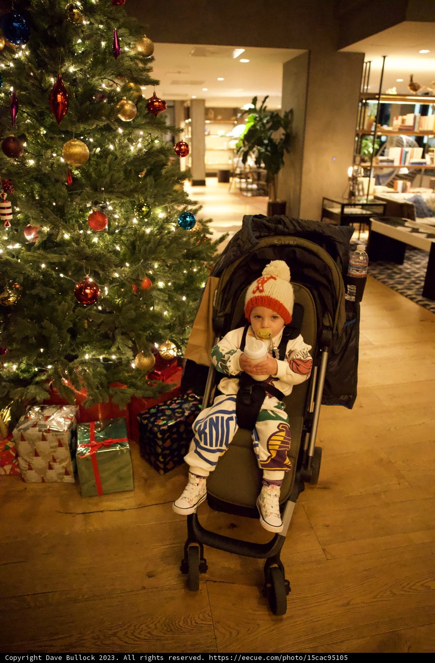 A Magical Christmas Moment