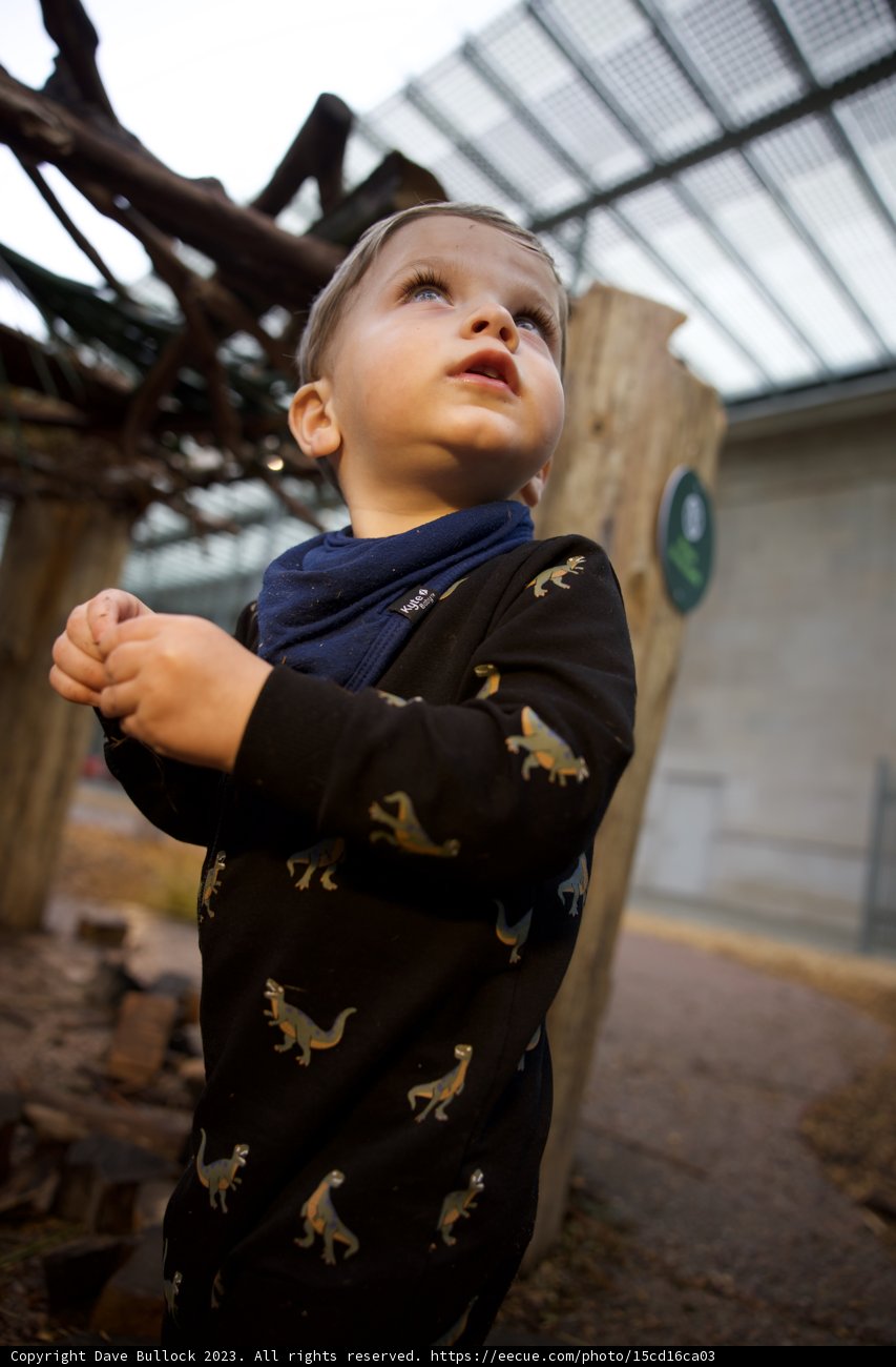 Wesley's Delightful Day at Golden Gate Park