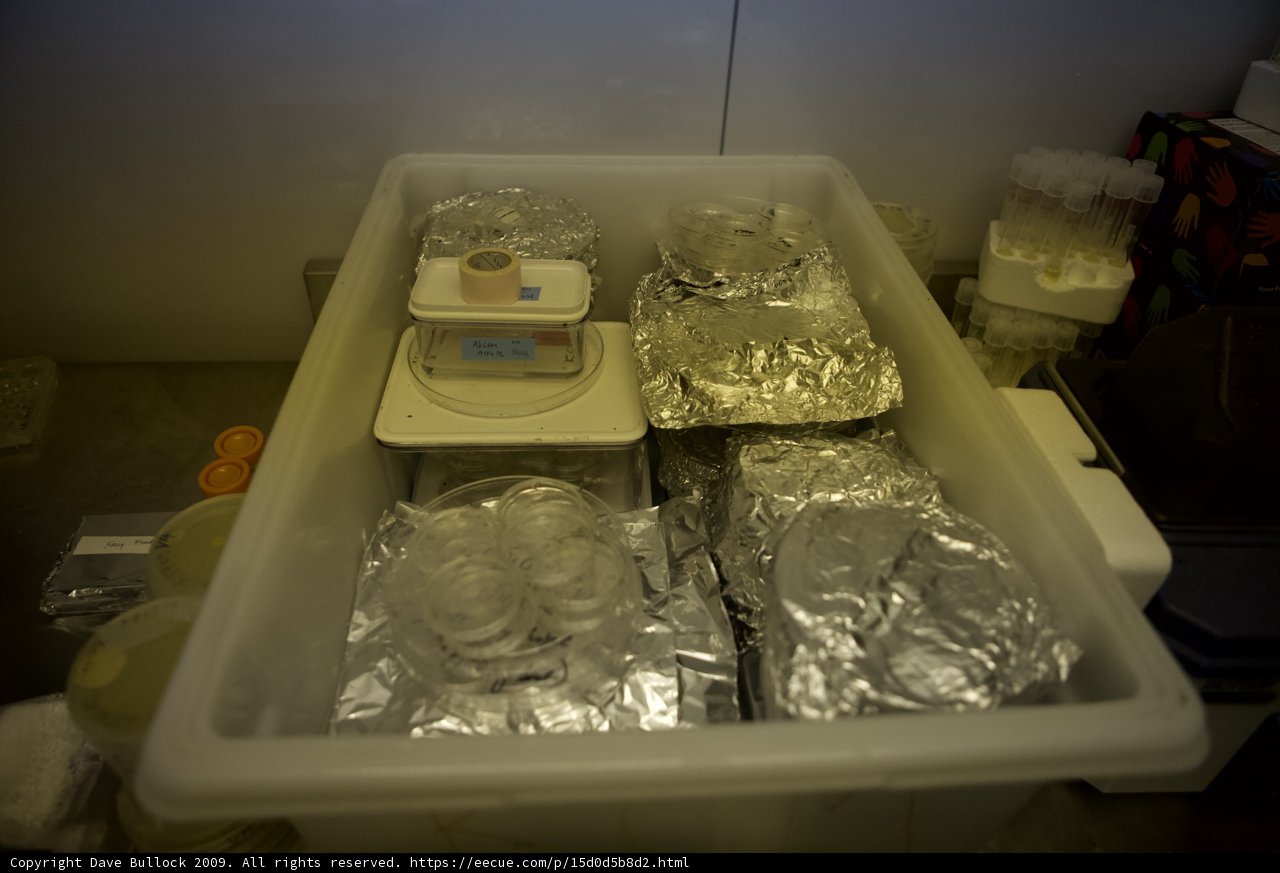 The White Box of Miscellaneous Treasures