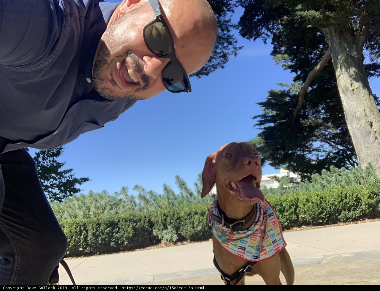 Selfie Time with My Furry BFF