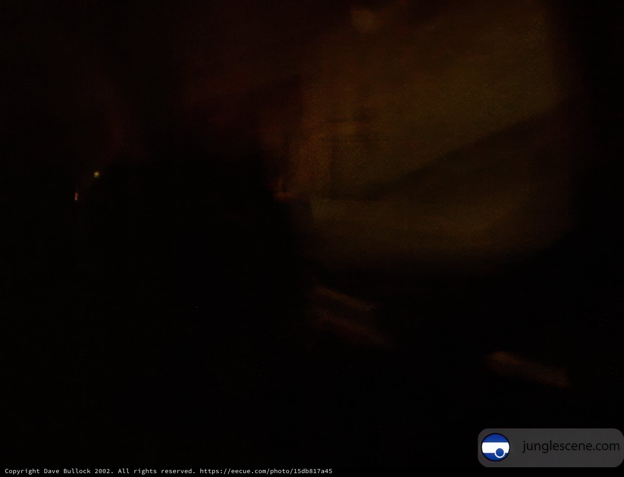 Mysterious Figure in the Dark