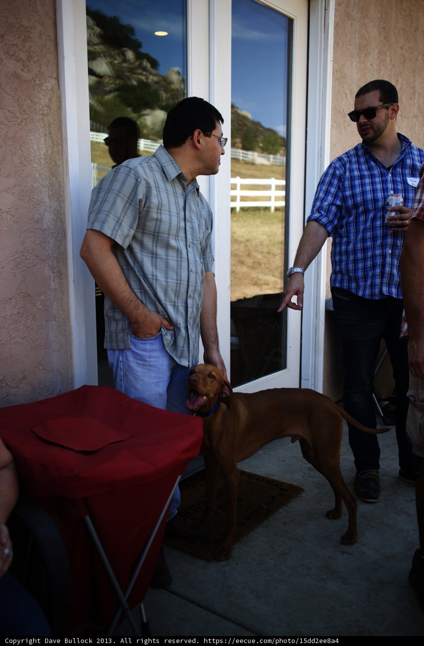 Man's Best Friend