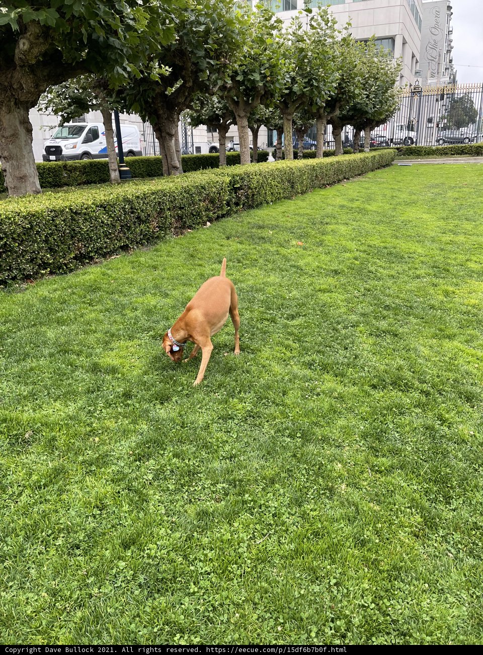 Playtime in the Park