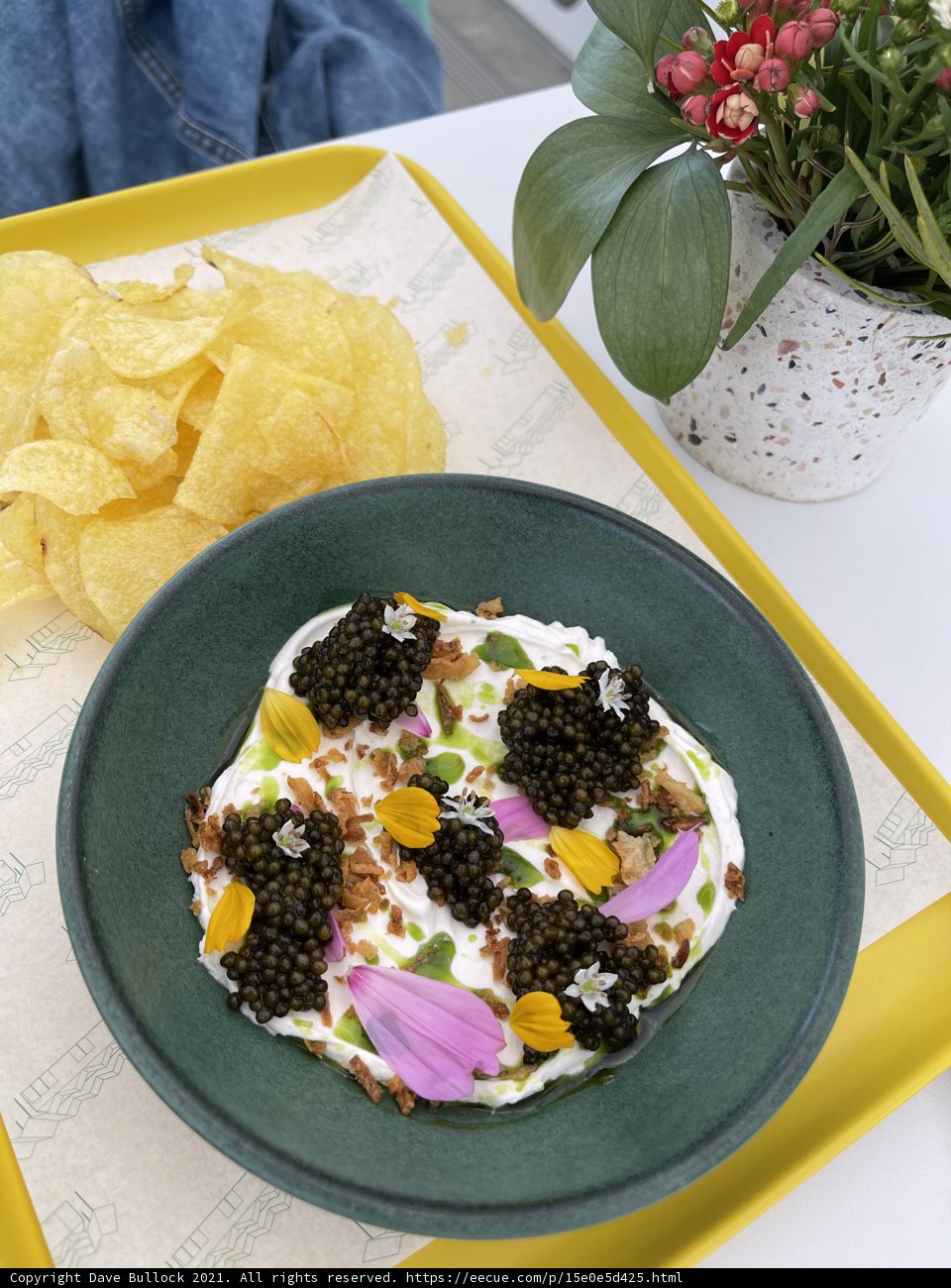 Brunch Delight on a Sunny Day
