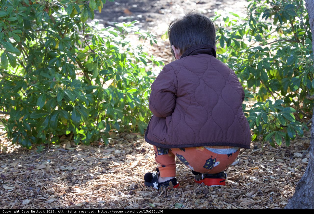 Nature's Little Explorer