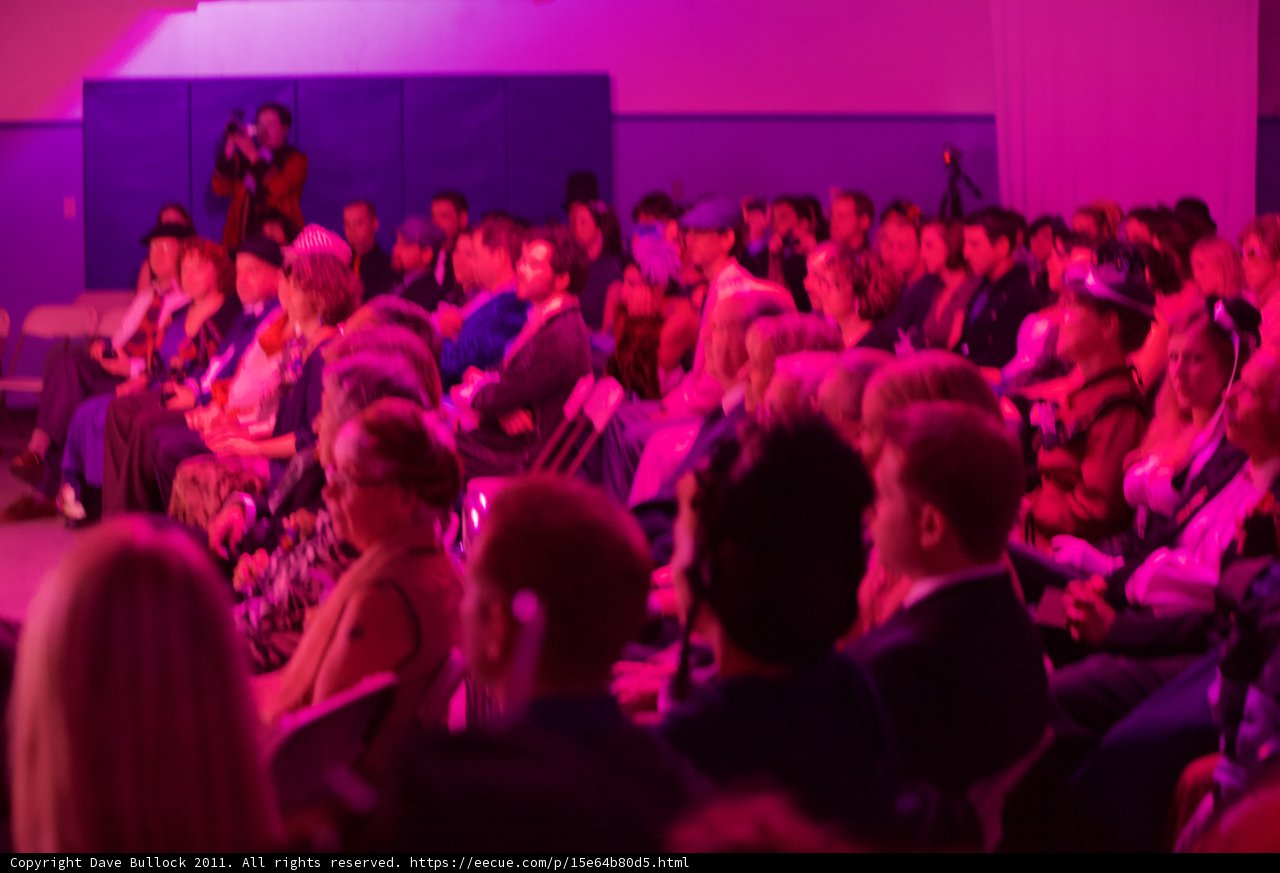 Conference Crowd
