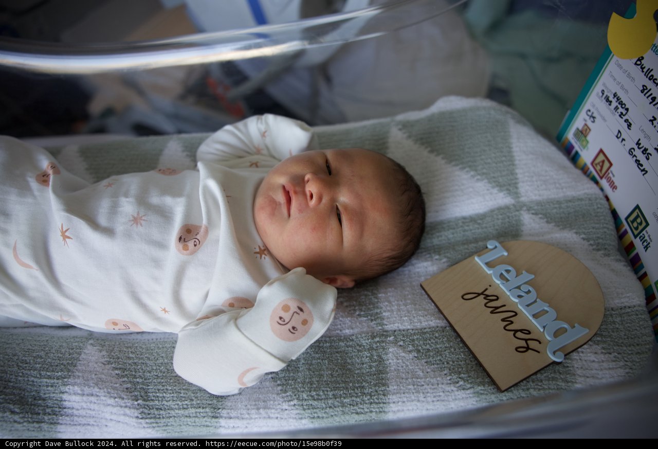 Welcome to the World, Leland