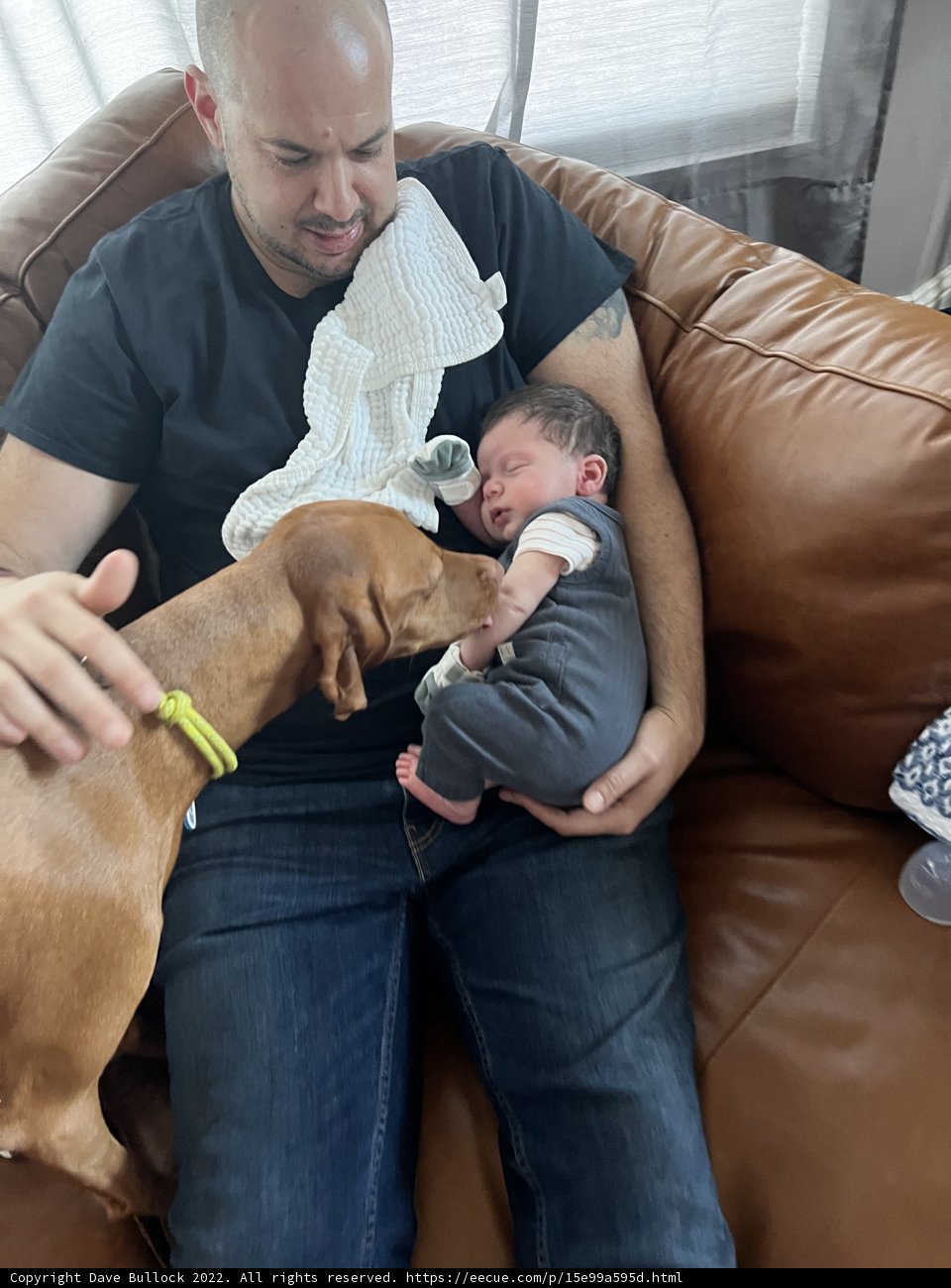 A Cozy Family Moment