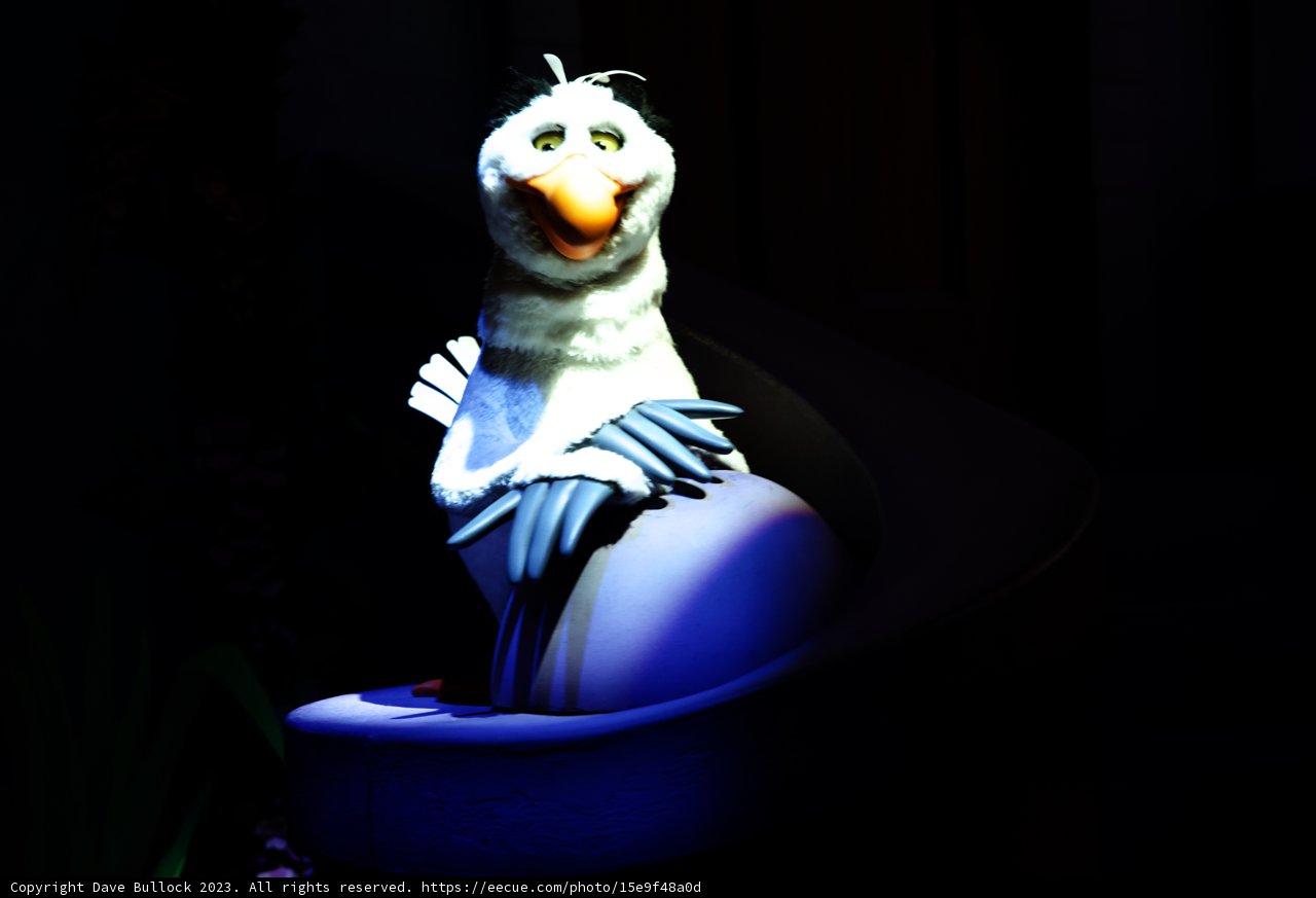 Mysterious Penguin Pal