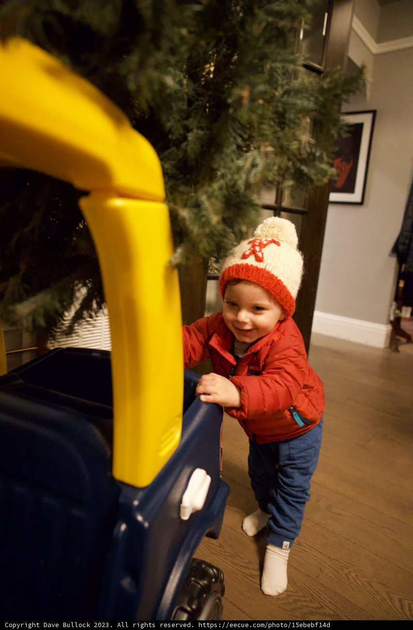 Wesley's Winter Playtime