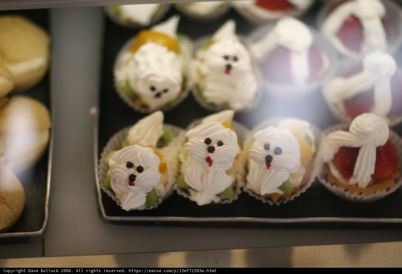 Sweet Faces