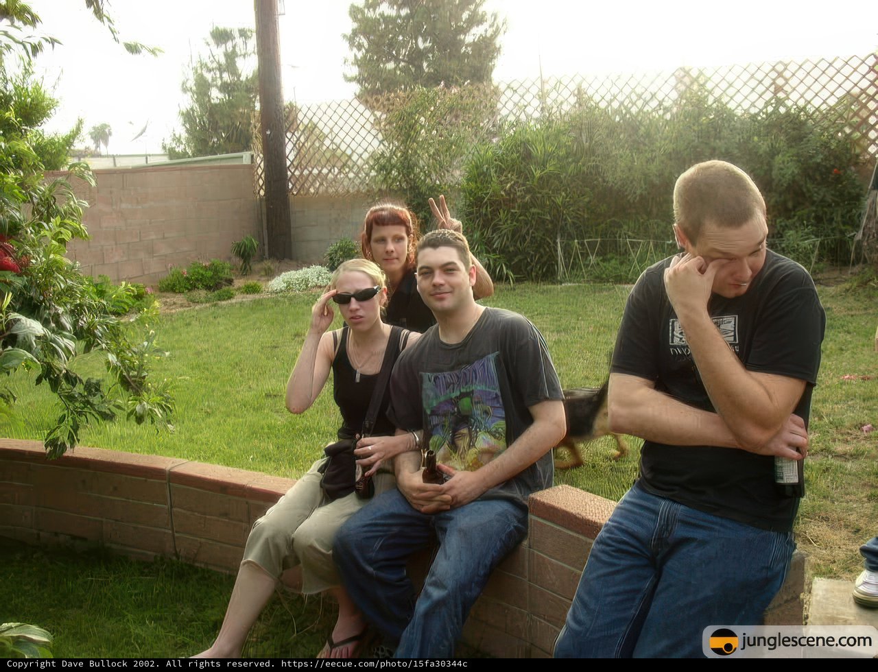 Backyard Hangout