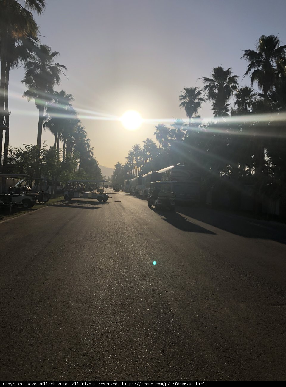 Sunset on Palms Street