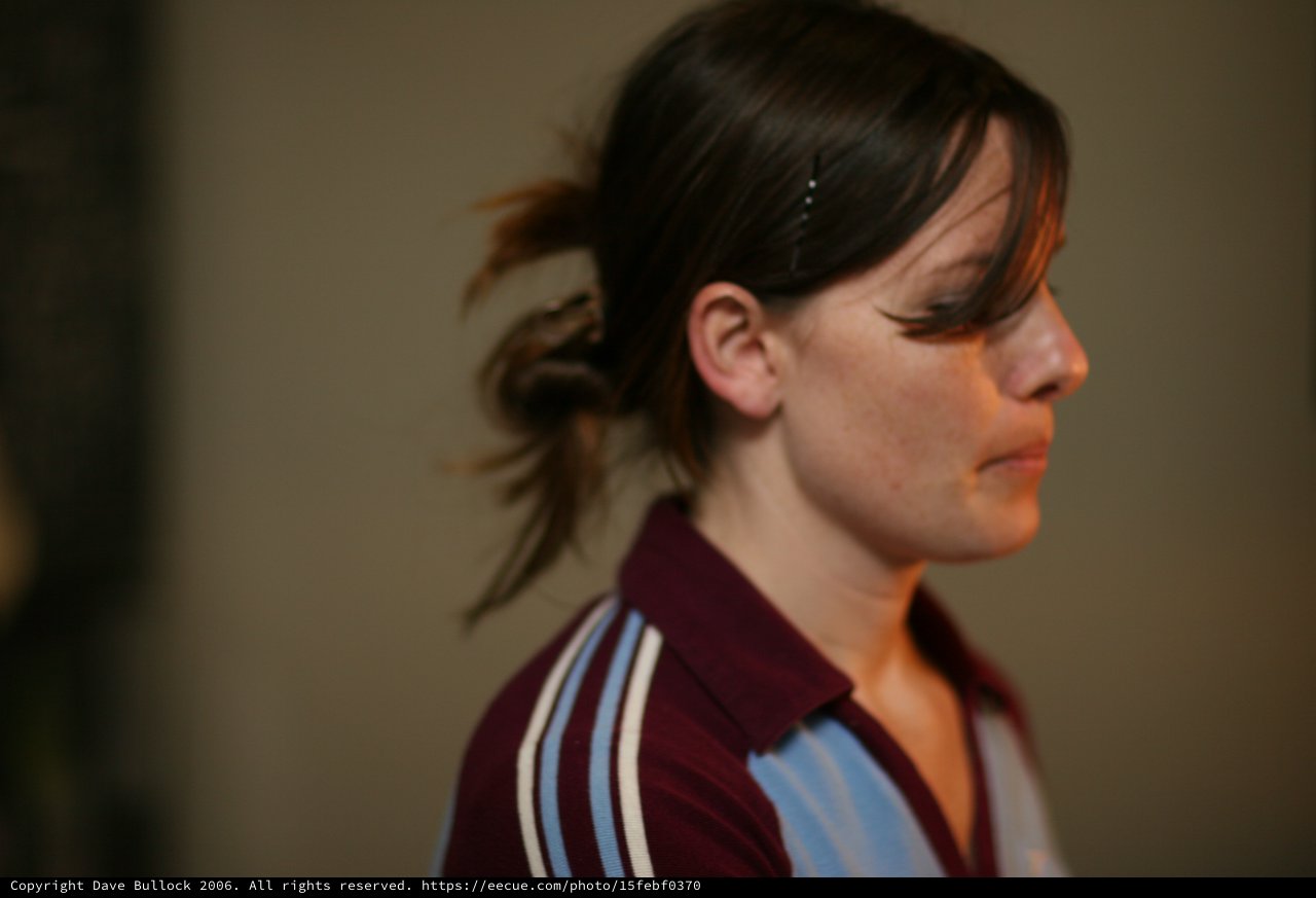 Pensive Woman in Profile, Candid Indoor Portrait