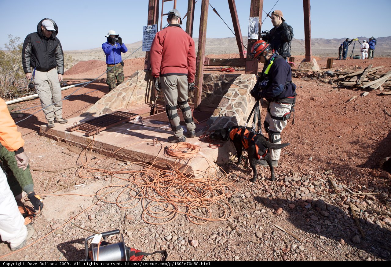 Construction Workers on a Rescue Mission