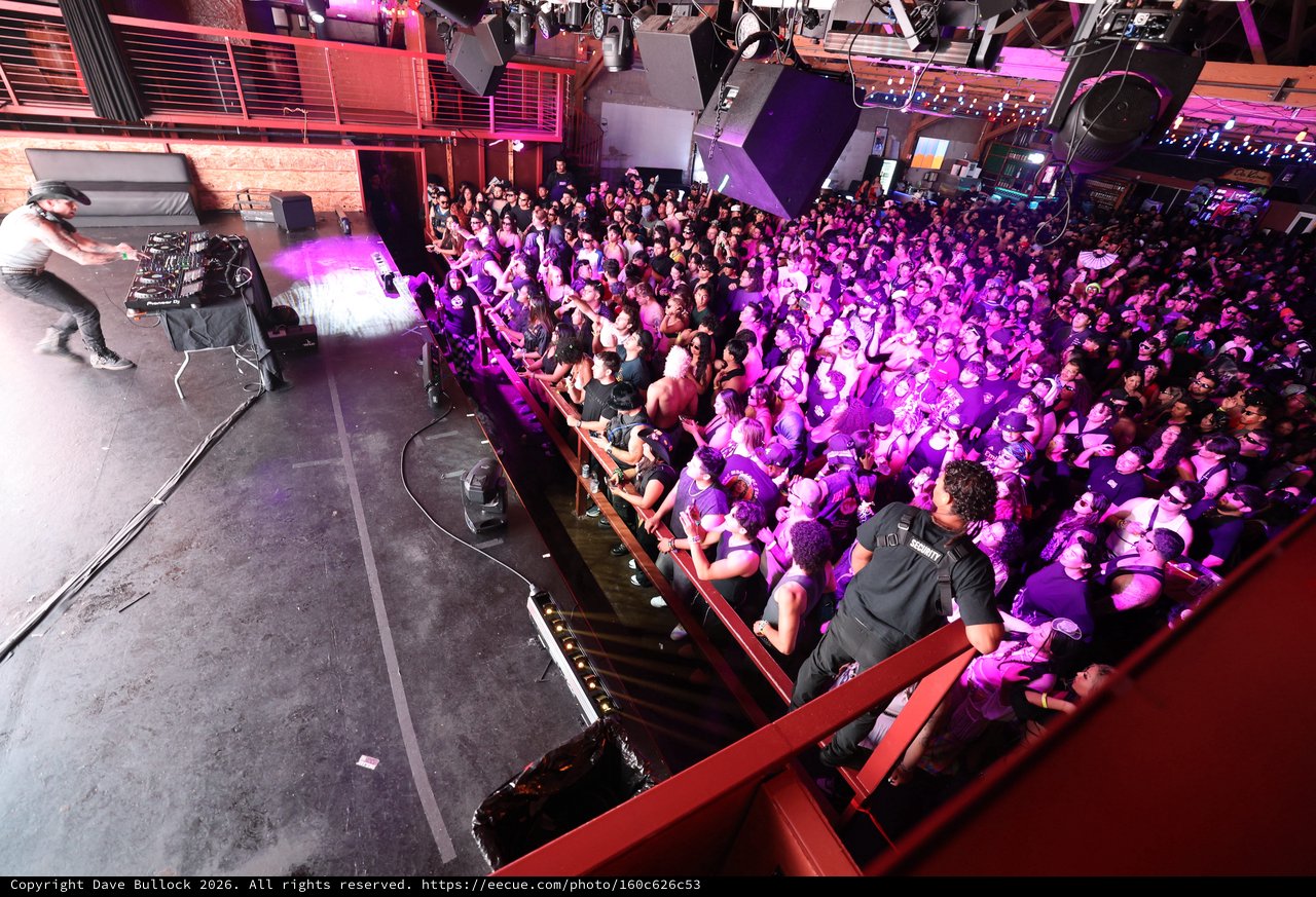 Massive Crowd Engulfed in Purple Light at Wobbleland