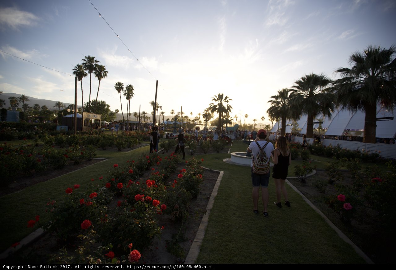 Strolling Through a Floral Paradise